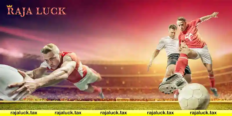 Tips and Strategies for Successful Sports Betting Raja luck