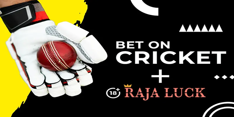 Raja Luck Promotions for Cricket Fans