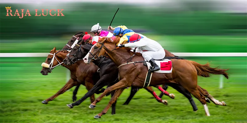 Tips for New Horse Racing Enthusiasts